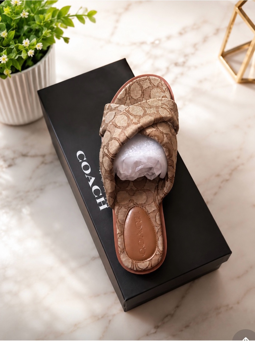 Coach Brown Signature Cross-Band Slide Sandals - Picture 2 of 4